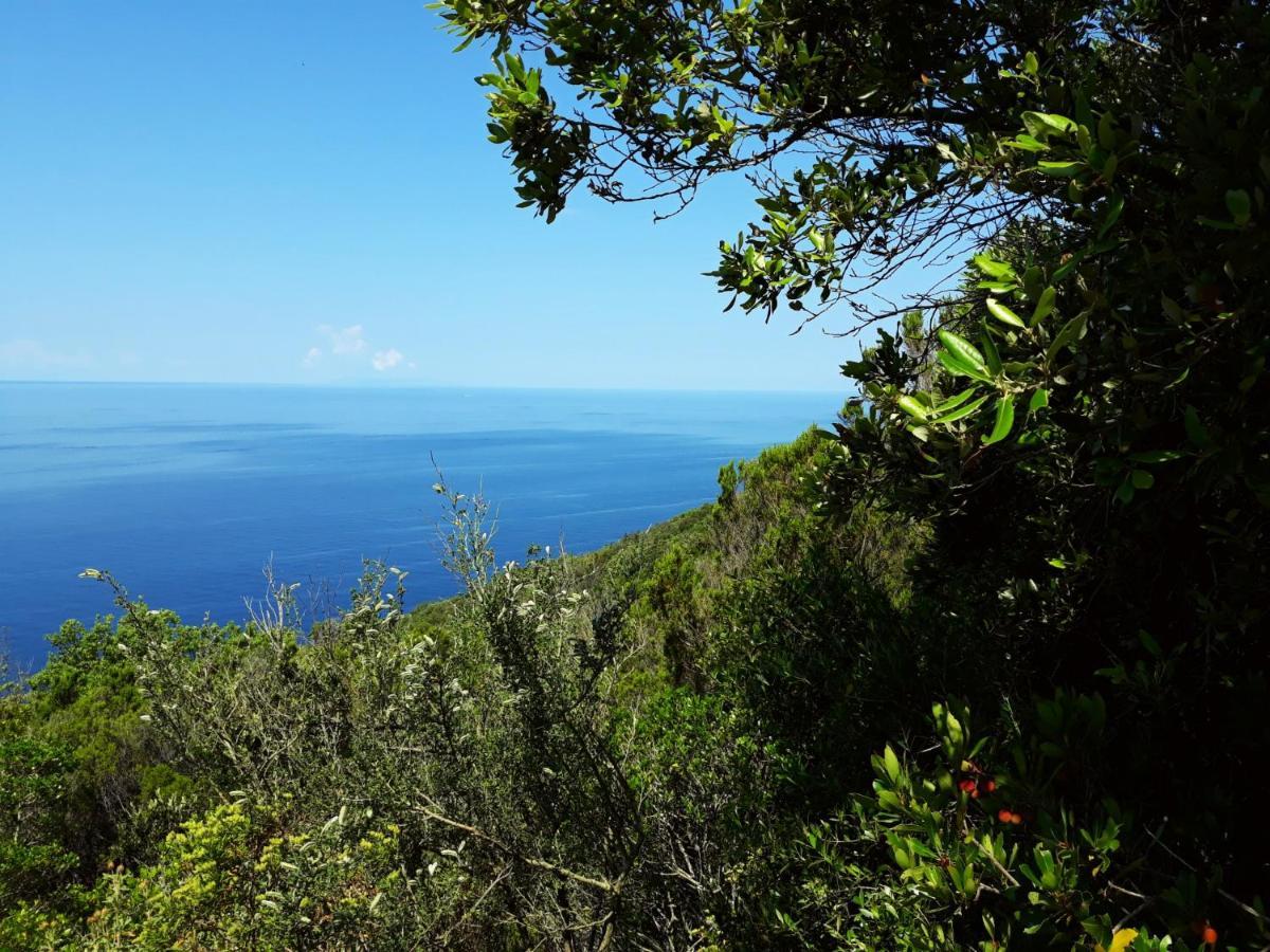 Claudi A * San Vincenzo