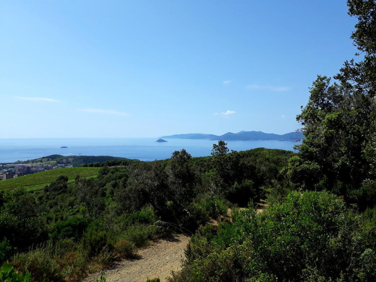 Claudi A San Vincenzo